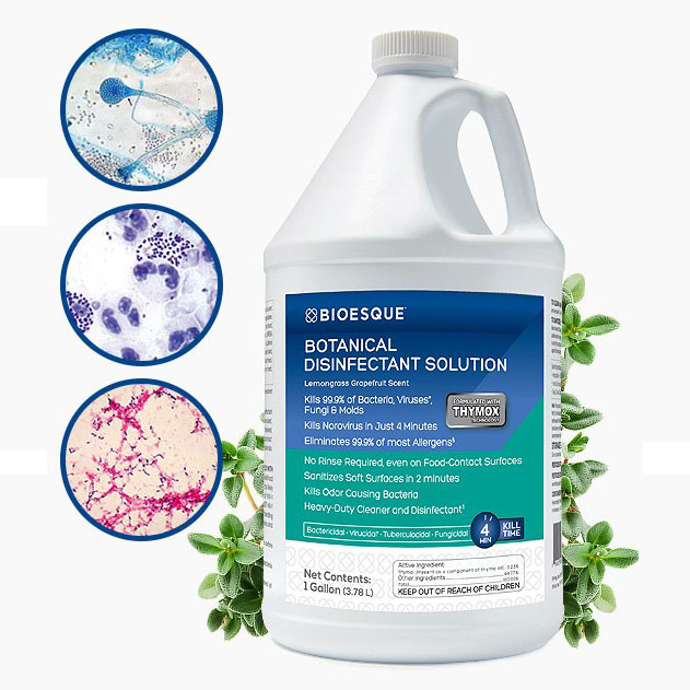 Bioesque Cleaning Solutions